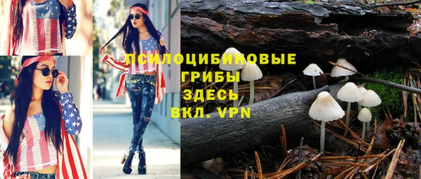 ГАЛЛЮЦИНОГЕННЫЕ ГРИБЫ Арсеньев