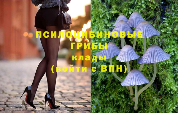 ГАЛЛЮЦИНОГЕННЫЕ ГРИБЫ Арсеньев