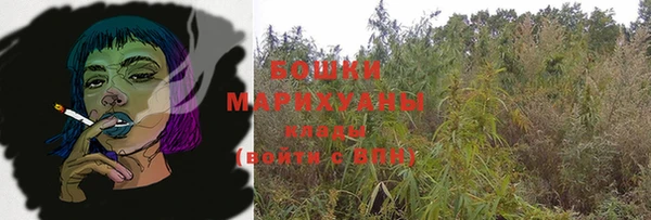 ГАЛЛЮЦИНОГЕННЫЕ ГРИБЫ Арсеньев