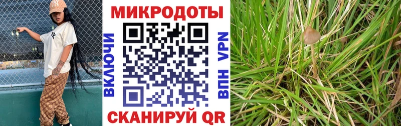 Псилоцибиновые грибы Psilocybe  Купить  Николаевск-на-Амуре 